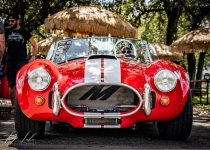 Cobra Nose.jpg